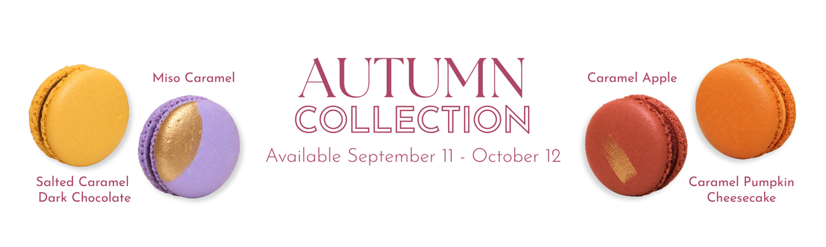 Autumn Collection