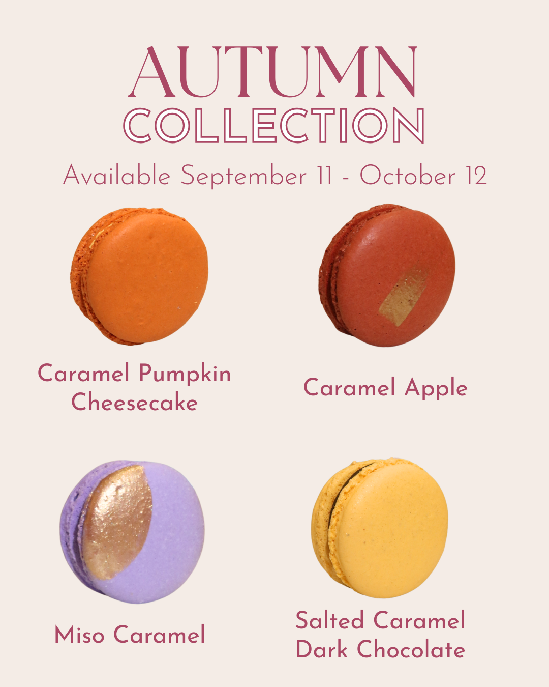 Box of 8 Macarons