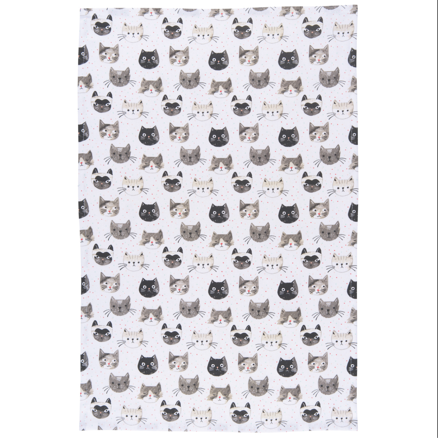 Graphic Kitchen Towels - Danica