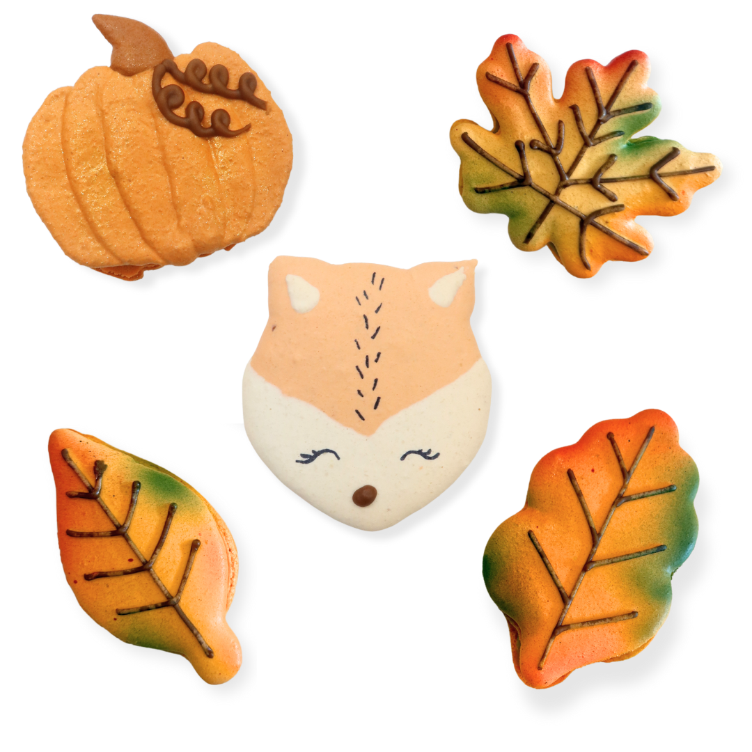 Fall Specialty Macarons